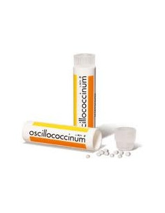 Oscillococcinum Bte 6 Doses 2