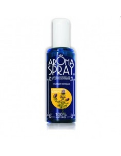 AROMA Spray Lemongrass 100ml