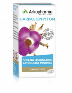 ARKOGÉLULES® HARPAGOPHYTON, GÉLULE Boîte de 45 gélules