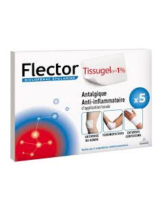 FLECTOR TISSUGEL Bte 5