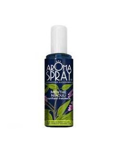 AROMA Spray Menthe Niaouli 100ml