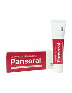 PANSORAL Adulte Gel Buccal 15g