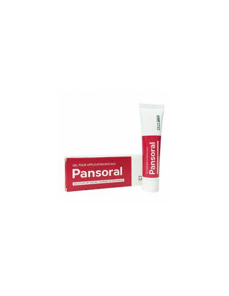 PANSORAL Adulte Gel Buccal 15g